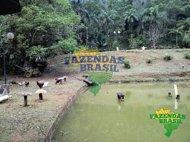 #11 - Chácara para Venda em Morretes - PR