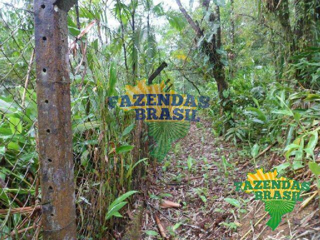 #11 - Chácara para Venda em Morretes - PR