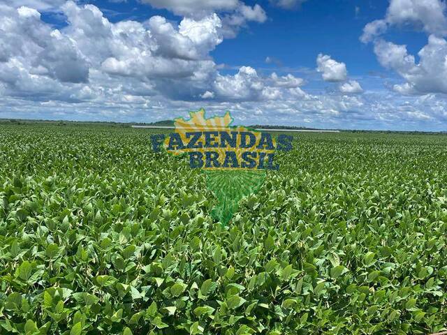 #15 - Fazenda para Venda em Confresa - MT