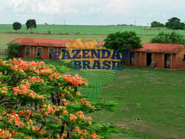 #16 - Fazenda para Venda em Ponta Porã - MS