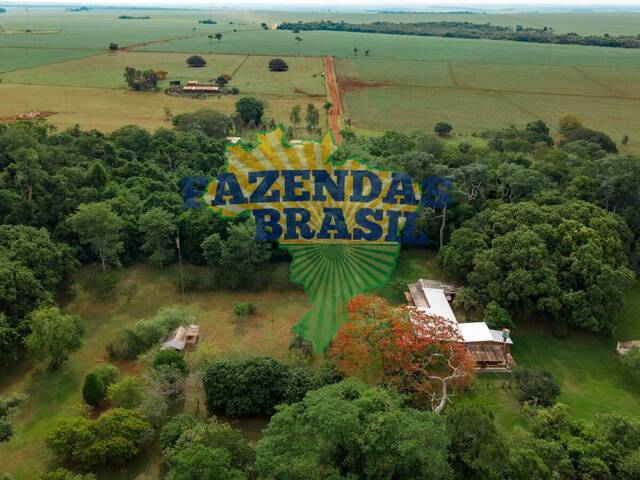 #16 - Fazenda para Venda em Ponta Porã - MS