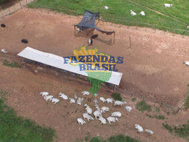 #12 - Fazenda para Venda em Cambuquira - MG