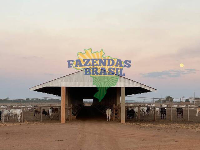 #15 - Fazenda para Venda em Confresa - MT
