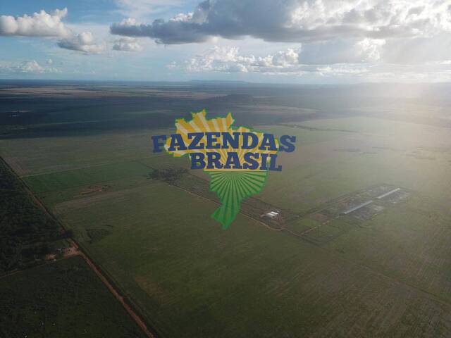  para  em  - 4
