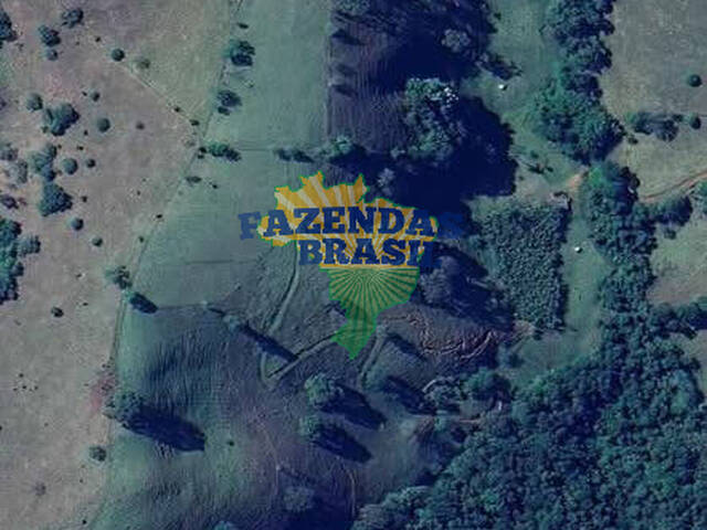 #25 - Sítio para Venda em Belo Horizonte - MG