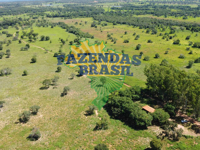 #7 - Fazenda para Venda em Belo Horizonte - MG