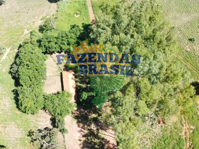 #7 - Fazenda para Venda em Belo Horizonte - MG